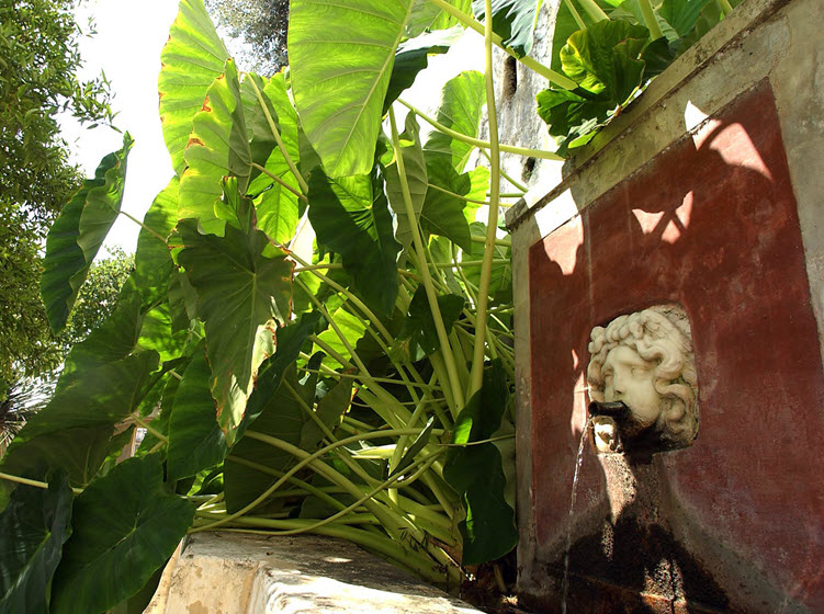 Fontana del Giardino Giardino della Minerva