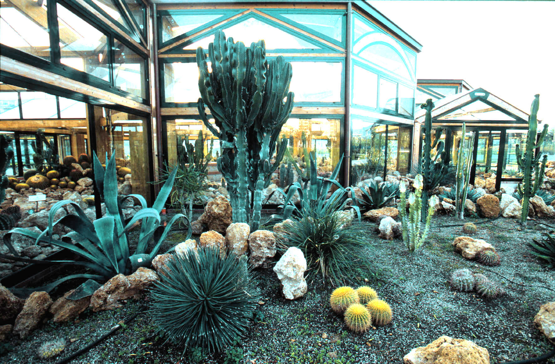 Rock garden Parco Mercatello