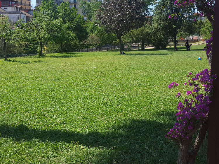 Prato del Parco dell'Irno